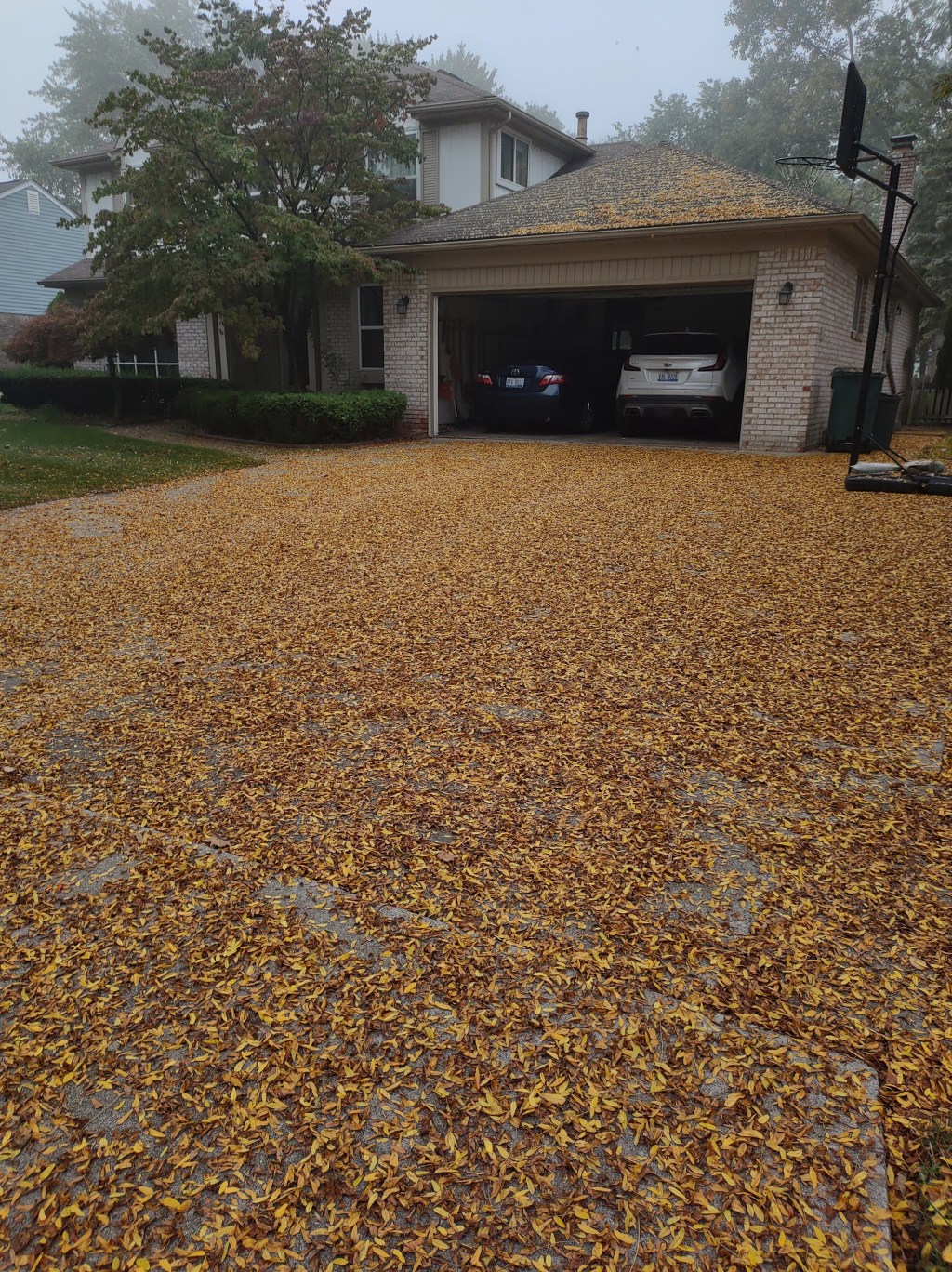 Fall: Not Always as Picturesque as it Seems