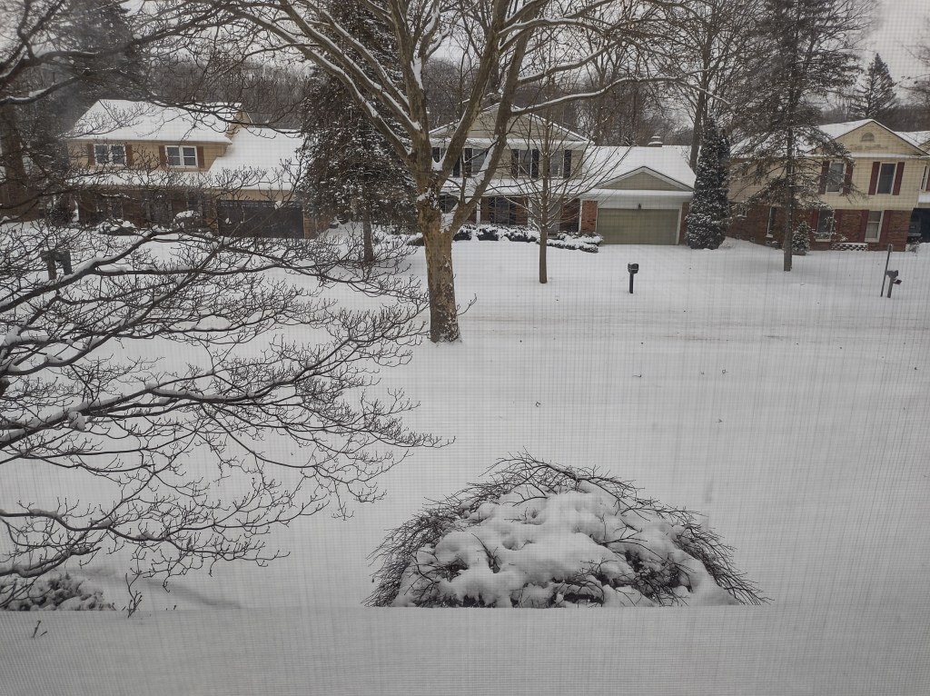 A Week of Snow, Resilience, and Sports&nbsp;Triumphs